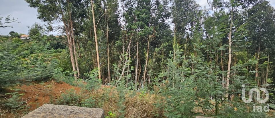 Terreno em Gaula de 4 380 m²