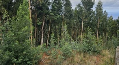 Terrain à Gaula de 4 380 m²