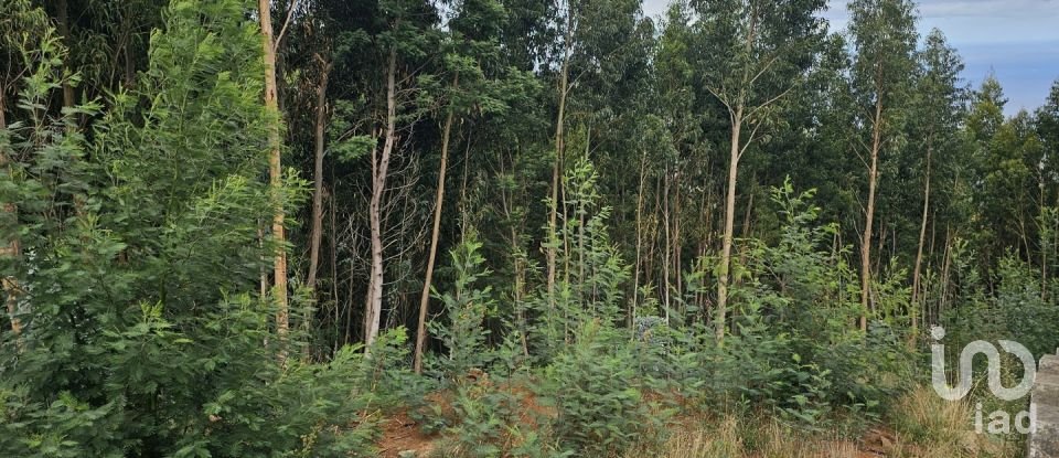 Terreno em Gaula de 4 380 m²