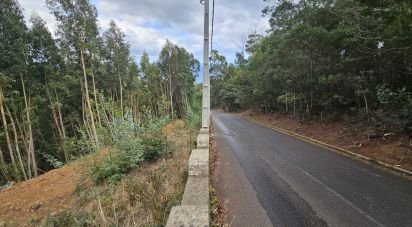 Terrain à Gaula de 4 380 m²