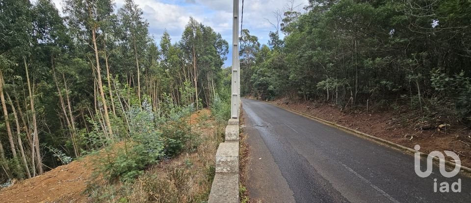 Terreno em Gaula de 4 380 m²