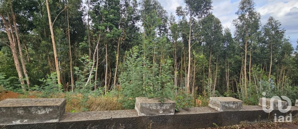 Terreno em Gaula de 4 380 m²