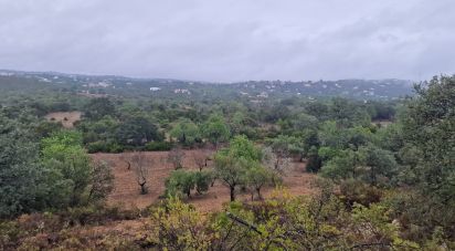 Terrain agricole à São Brás de Alportel de 3 400 m²