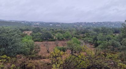 Terrain agricole à São Brás de Alportel de 3 400 m²