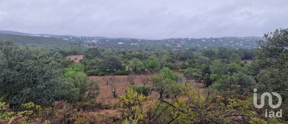 Terrain agricole à São Brás de Alportel de 3 400 m²