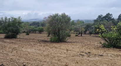 Terrain agricole à São Brás de Alportel de 3 400 m²