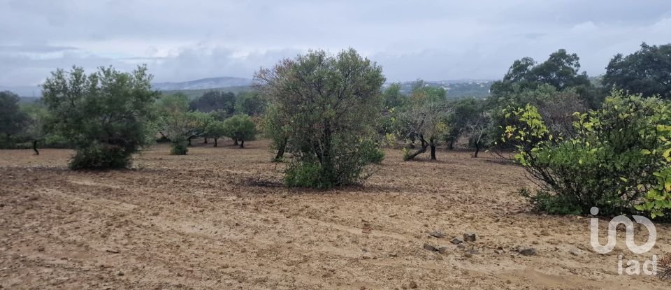 Terrain agricole à São Brás de Alportel de 3 400 m²
