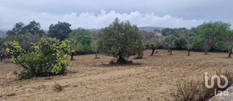 Terrain agricole à São Brás de Alportel de 3 400 m²
