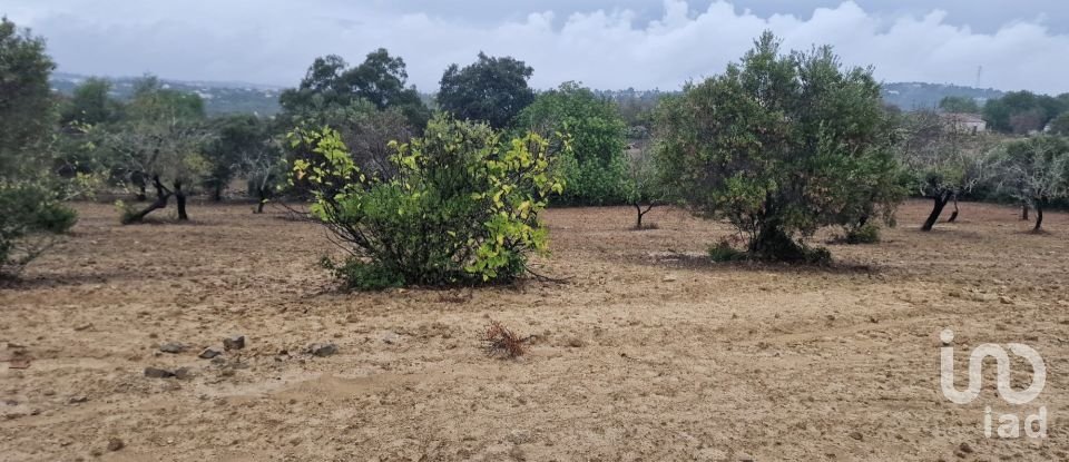 Terrain agricole à São Brás de Alportel de 3 400 m²