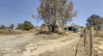 Maison T4 à Algoz e Tunes de 285 m²