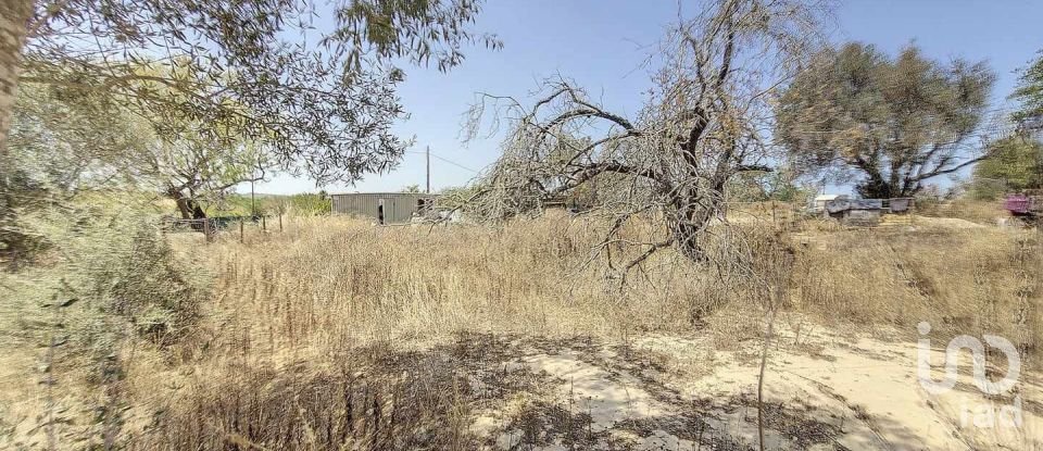 Maison T4 à Algoz e Tunes de 285 m²