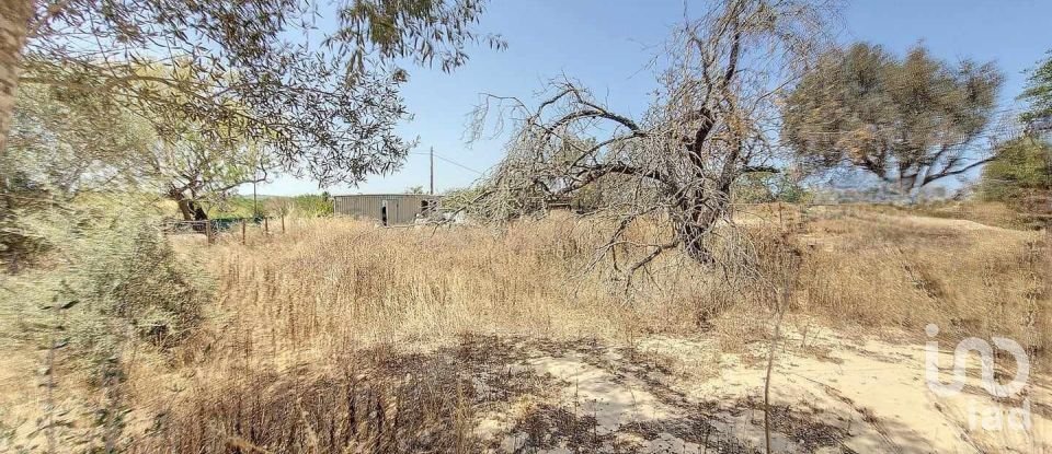 Maison T4 à Algoz e Tunes de 285 m²