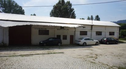 Farm T0 in Parada de Cunhos of 38,397 m²
