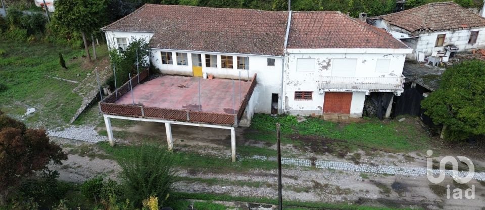Farm T0 in Parada de Cunhos of 38,397 m²