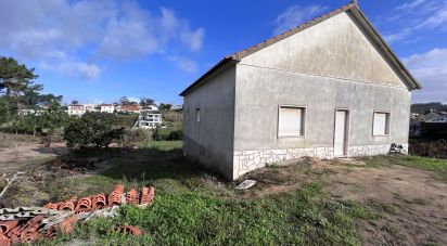 Land in Ericeira of 6,204 m²