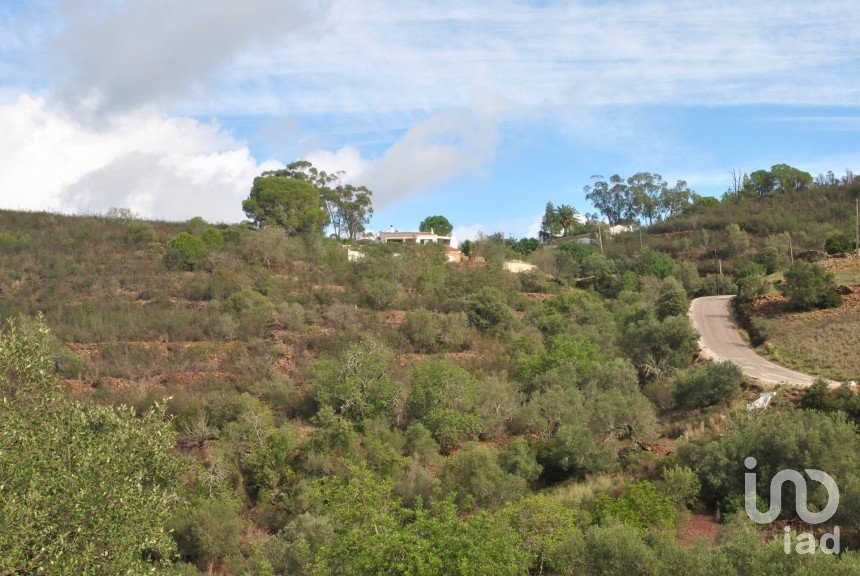 Terreno em Querença, Tôr e Benafim de 7 591 m²