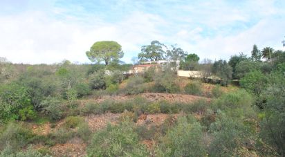 Terrain à Querença, Tôr e Benafim de 7 591 m²