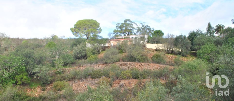 Land in Querença, Tôr e Benafim of 7,591 m²