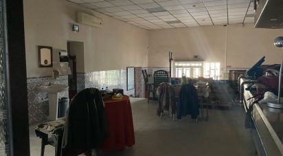 Surface diverse T1 à Abitureiras de 371 m²