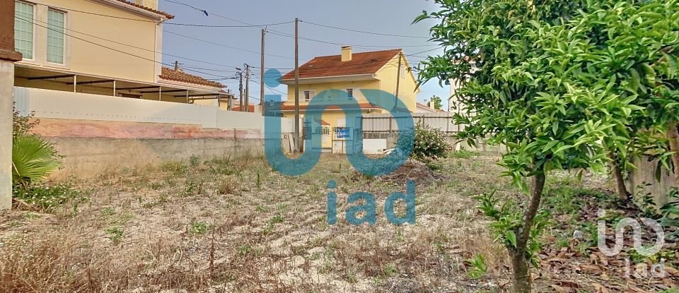 Terreno em Fernão Ferro de 319 m²