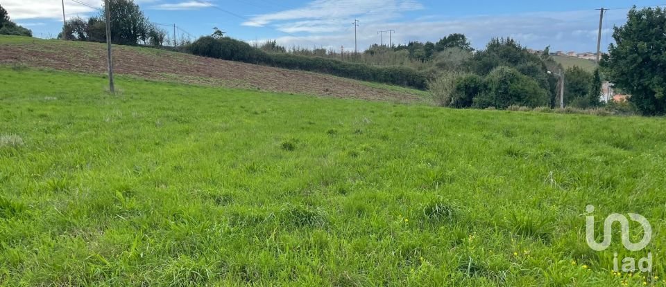 Terrain à Alcobaça e Vestiaria de 3 220 m²