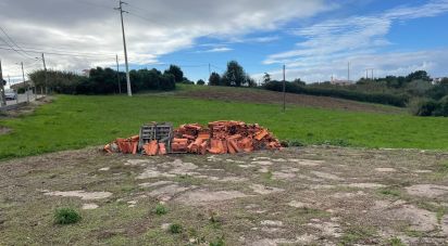 Land in Alcobaça e Vestiaria of 3,220 m²