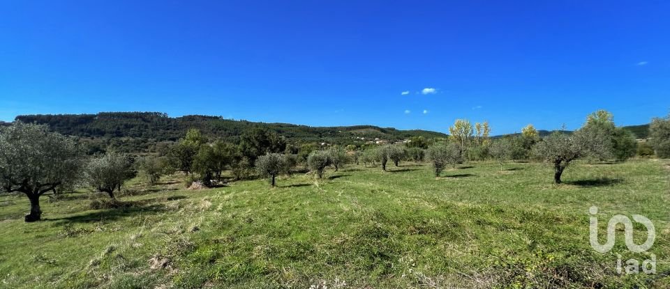 Country house T6 in Águas Belas of 320 m²