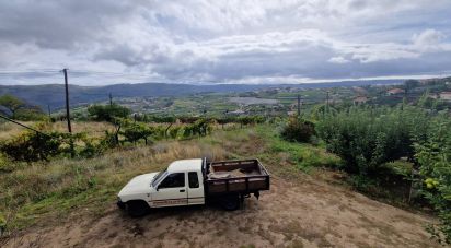 Gîte T3 à Lamego (Almacave e Sé) de 165 m²