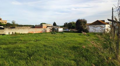 Ferme T4 à Palhais e Coina de 6 340 m²