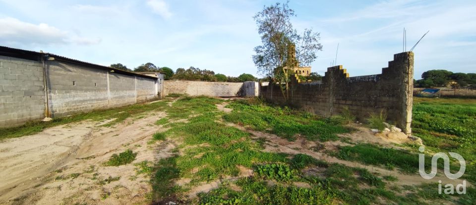 Ferme T4 à Palhais e Coina de 6 340 m²