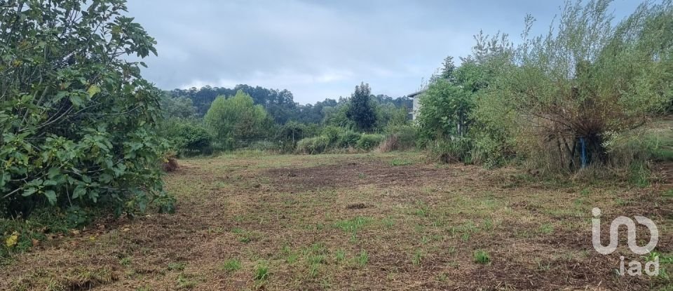 Terreno em Canedo, Vale e Vila Maior de 2 920 m²