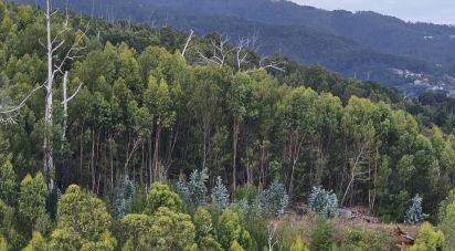 Terrain à Gaula de 1 140 m²