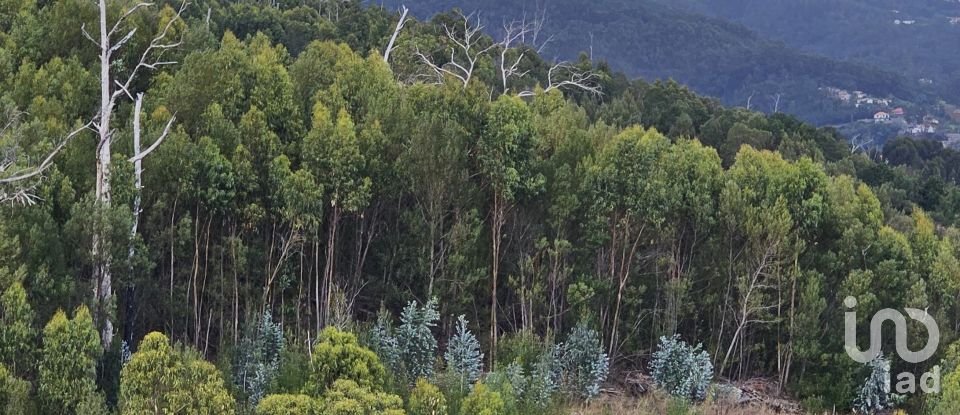 Terreno em Gaula de 1 140 m²