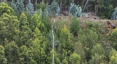 Terrain à Gaula de 1 140 m²