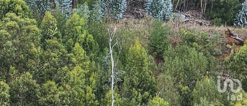 Terreno em Gaula de 1 140 m²