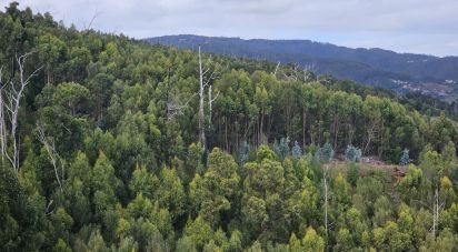 Terrain à Gaula de 1 140 m²