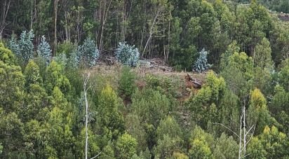 Terrain à Gaula de 1 140 m²