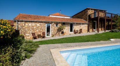 Gîte T8 à Carapinha de 519 m²