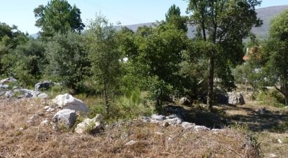 Terrain à Mira de Aire de 1 276 m²