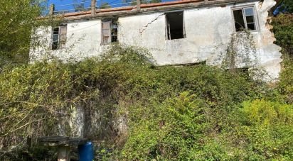 Farm T0 in Bárrio of 20,228 m²