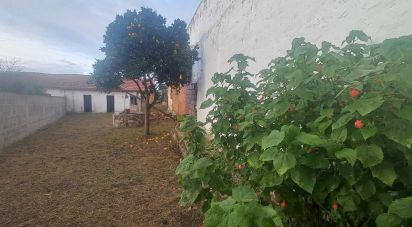 Maison de village T2 à Aveiras de Cima de 88 m²