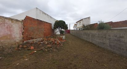 Maison de village T2 à Aveiras de Cima de 88 m²