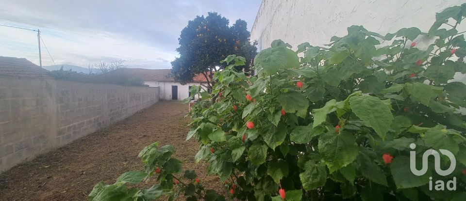 Village house T2 in Aveiras de Cima of 88 m²