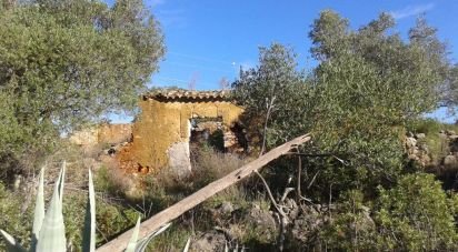 Terrain à Algoz e Tunes de 8 260 m²