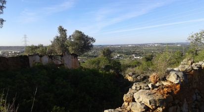 Terrain à Algoz e Tunes de 8 260 m²