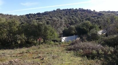 Terrain à Algoz e Tunes de 8 260 m²