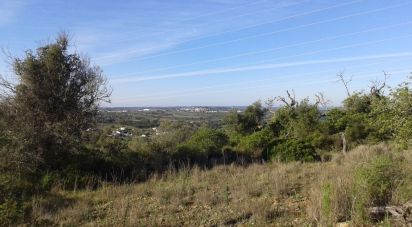 Terrain à Algoz e Tunes de 8 260 m²