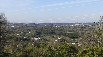 Terrain à Algoz e Tunes de 8 260 m²