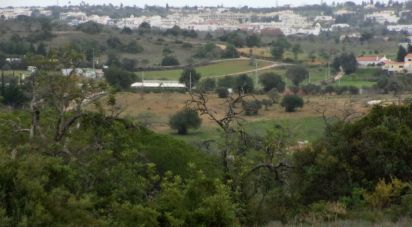 Terreno em Alcantarilha e Pêra de 51 000 m²