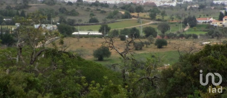 Terreno em Alcantarilha e Pêra de 51 000 m²